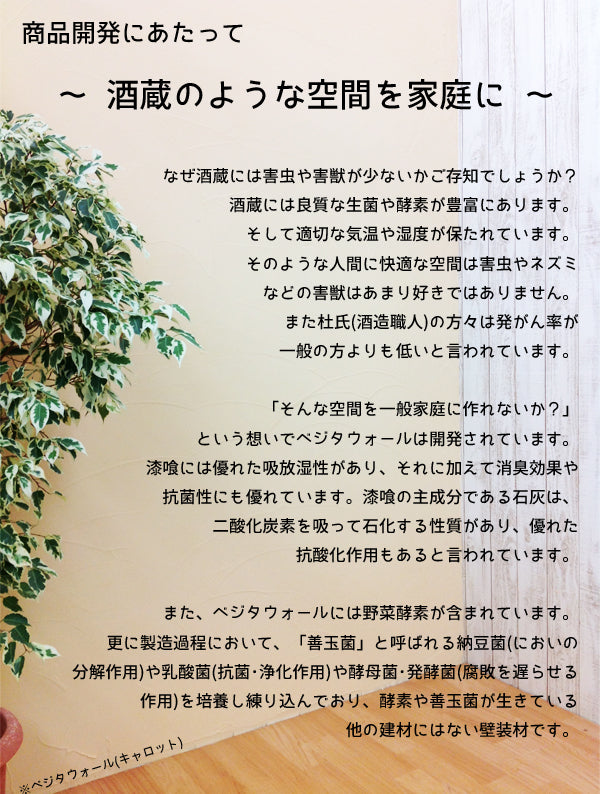 Vegetawall 練済み漆喰 ベジタウォール【DIYセット,16kg,4kg】